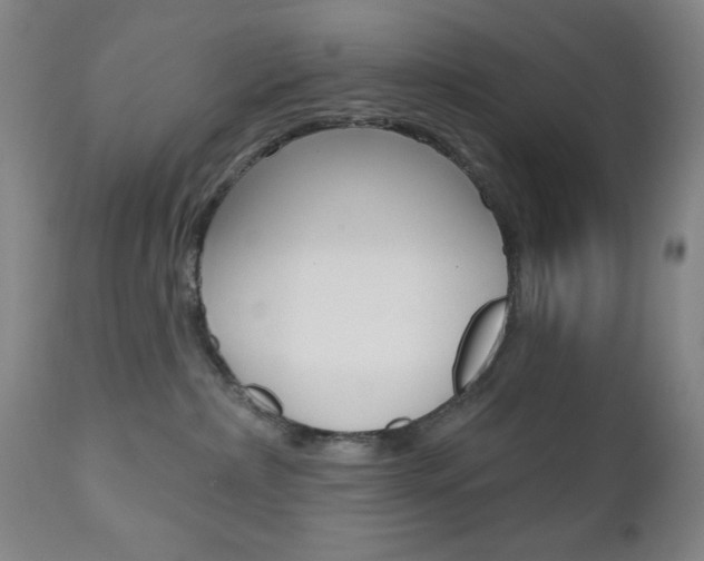 X0000111000236200906191151