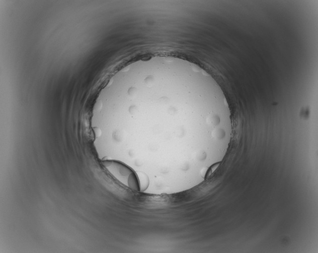 X0000111000238200906191151