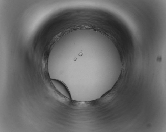 X0000111000239200906191151