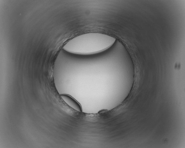X0000111000240200906191151