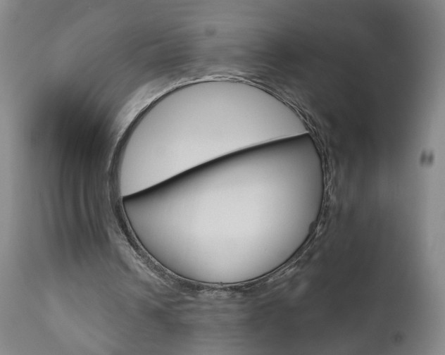 X0000111000242200906191150