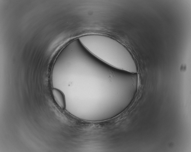 X0000111000243200906191150