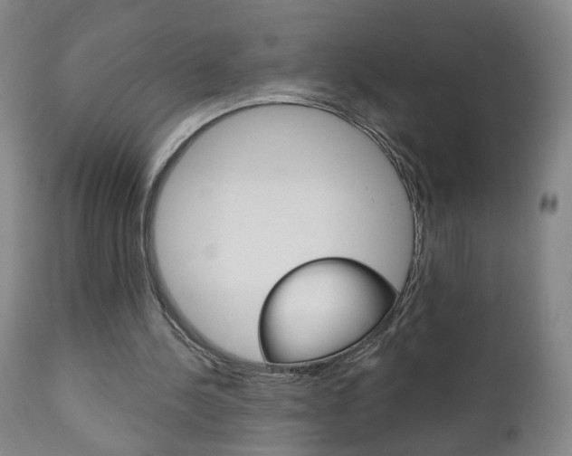 X0000111000244200906191150