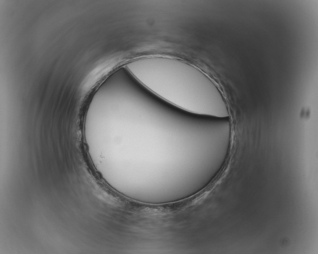 X0000111000245200906191150