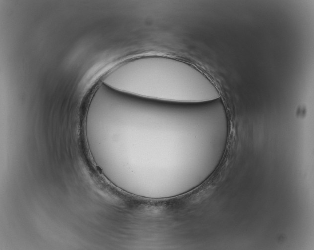 X0000111000247200906191150