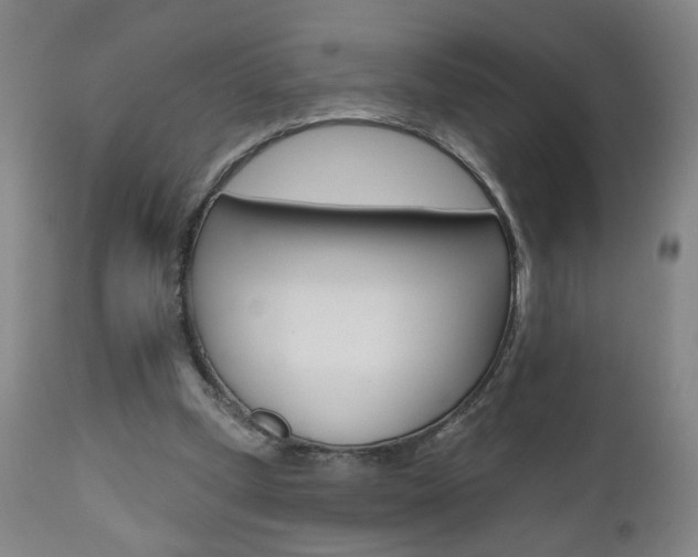 X0000111000249200906191150