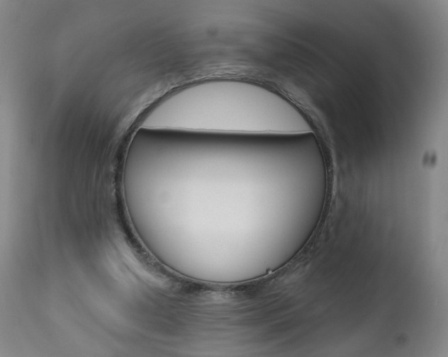 X0000111000250200906191150