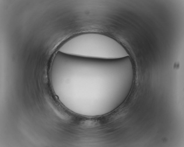 X0000111000251200906191150