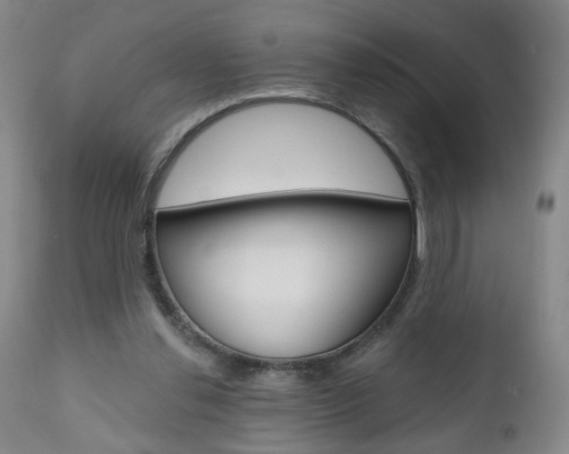 X0000111000252200906191150