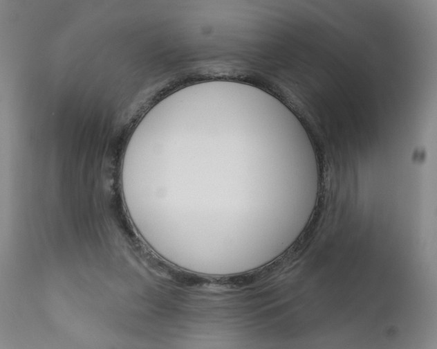 X0000111000255200906191150