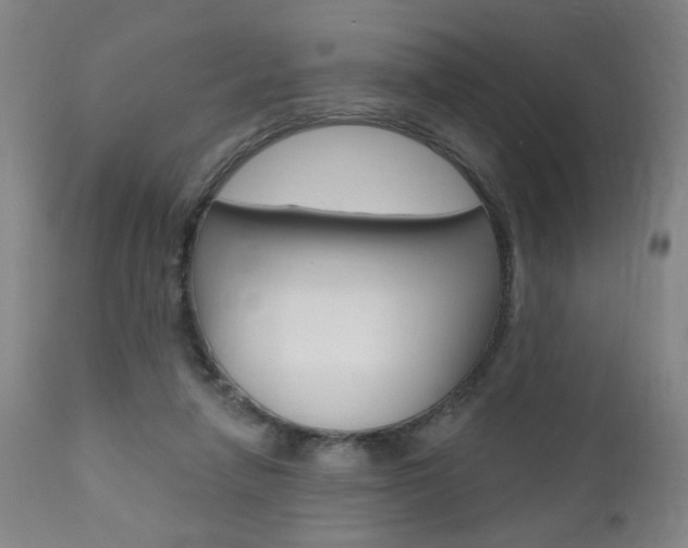 X0000111000258200906191150