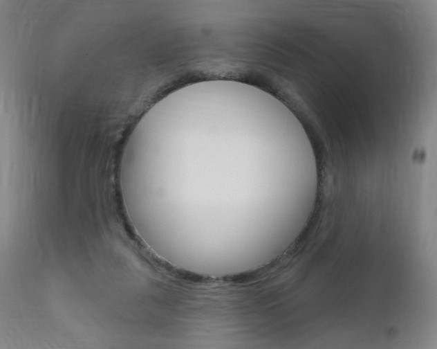 X0000111000259200906191150