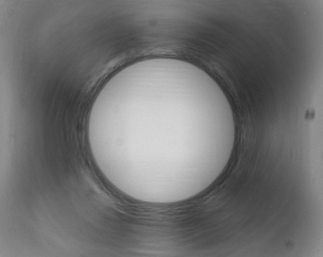 X0000111000260200906191150