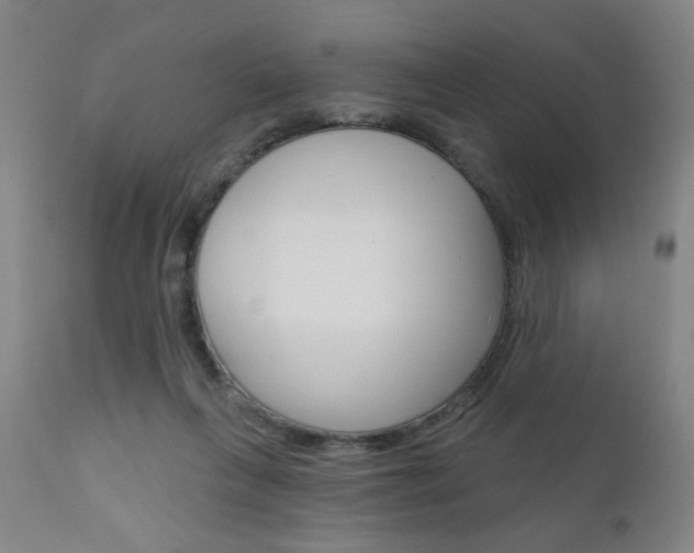 X0000111000263200906191151