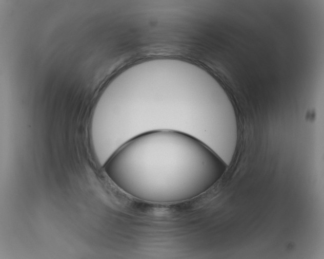 X0000111000264200906191151