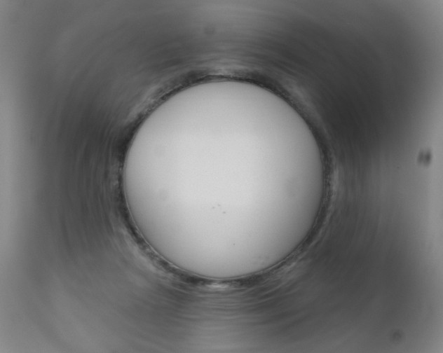 X0000111000265200906191151