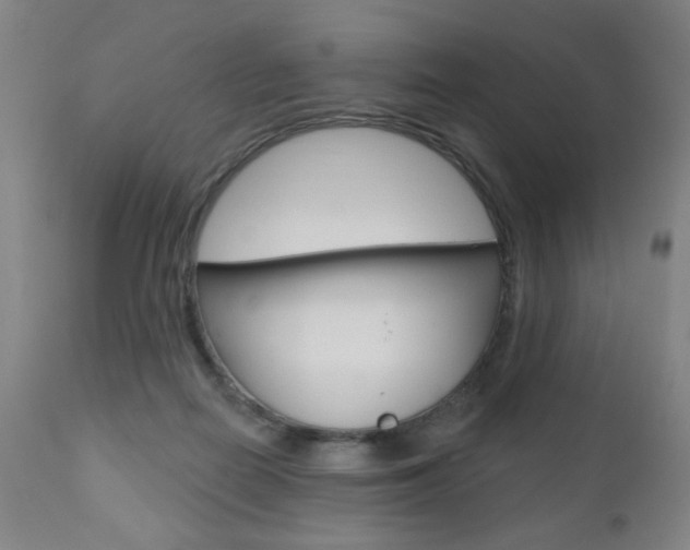 X0000111000266200906191151