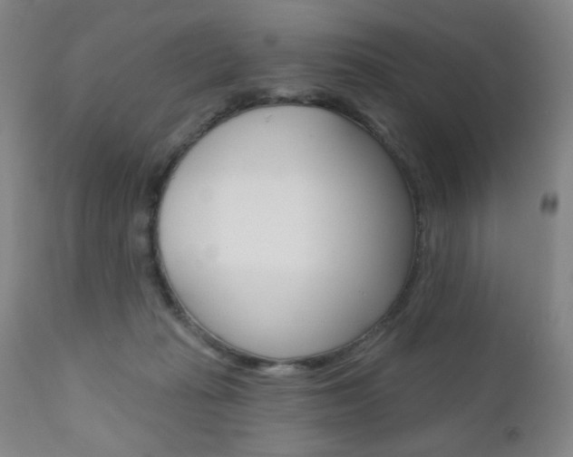 X0000111000269200906191151