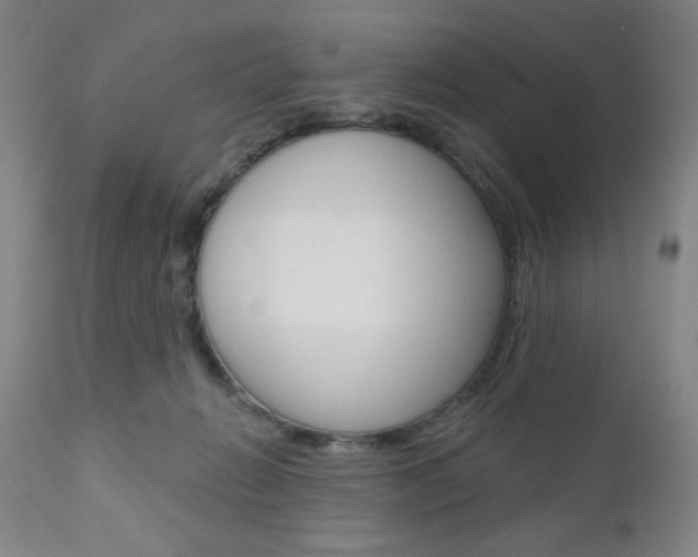 X0000111000270200906191151