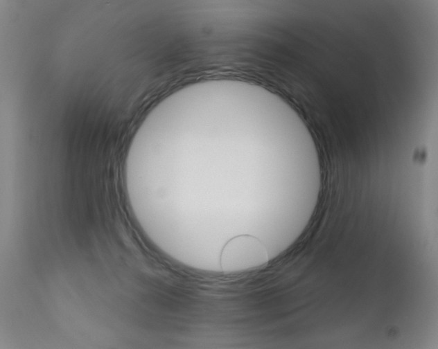 X0000111000272200906191151
