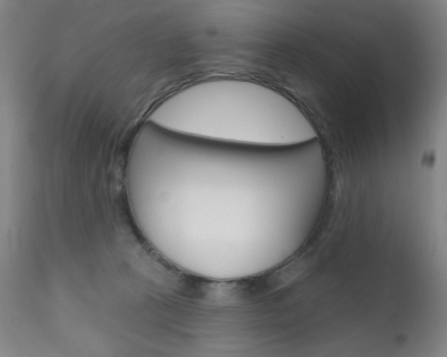 X0000111000273200906191151