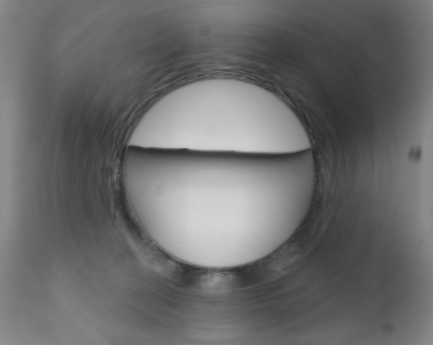 X0000111000274200906191151