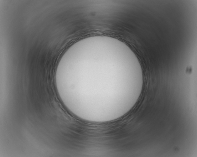 X0000111000276200906191151