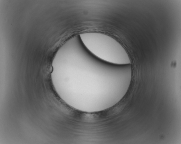 X0000111000277200906191151