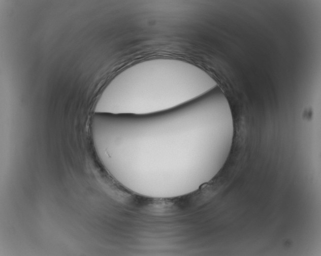 X0000111000278200906191151
