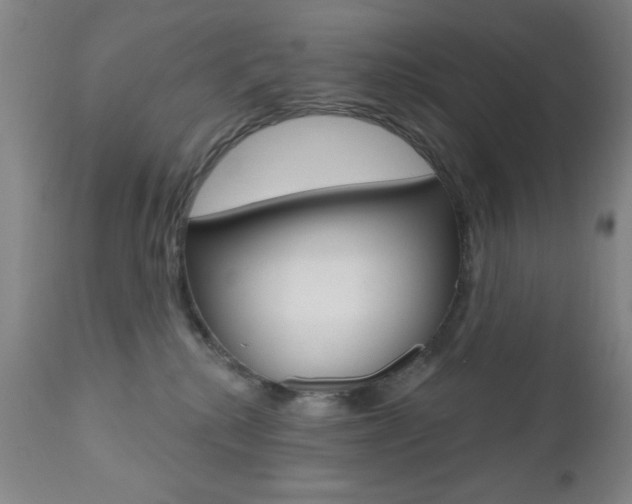 X0000111000280200906191151