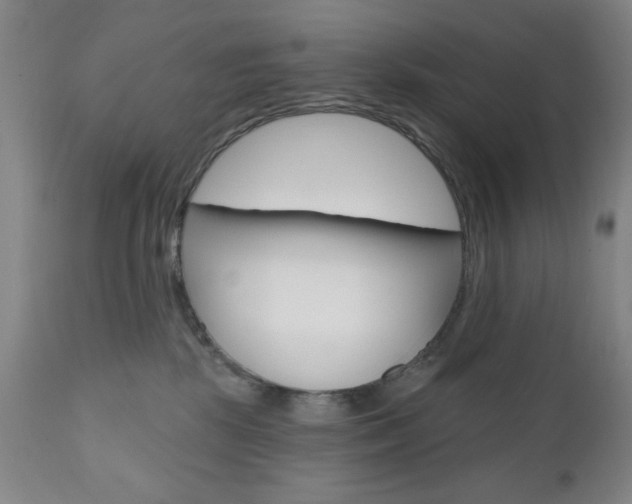 X0000111000281200906191151