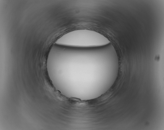 X0000111000283200906191151