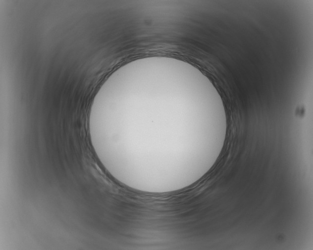 X0000111000284200906191151