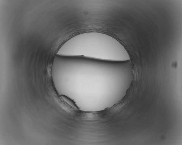 X0000111000286200906191151