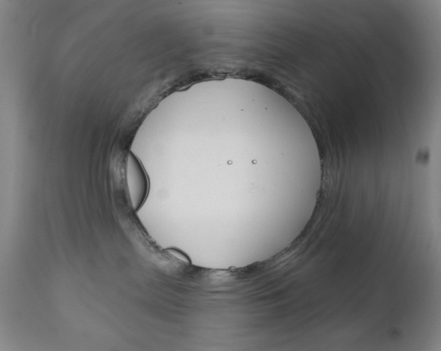 X0000111000287200906191151