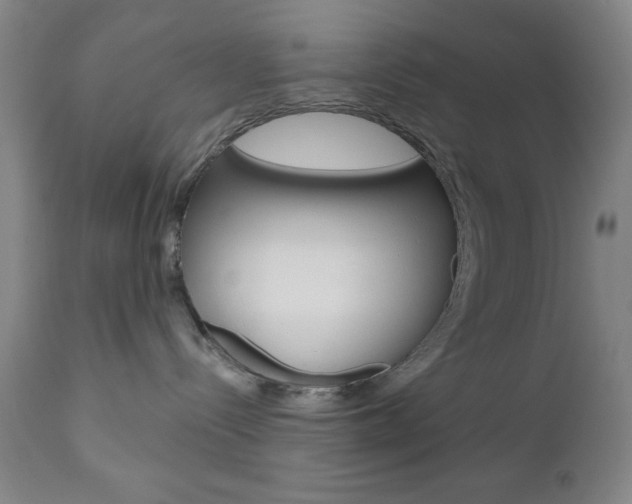 X0000111000288200906191151
