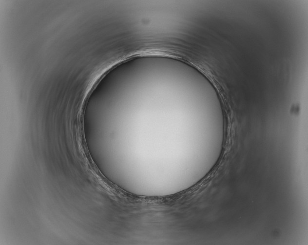 X0000111000289200906191150