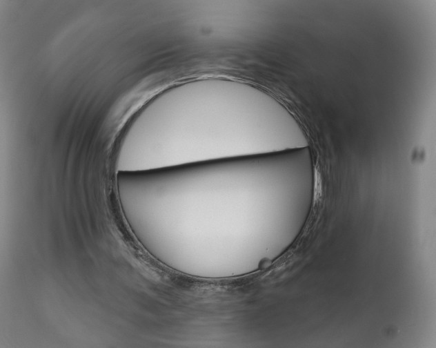 X0000111000291200906191150