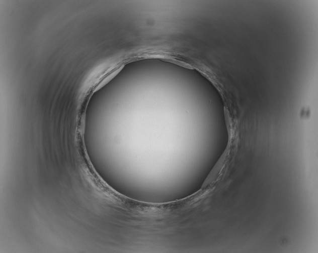 X0000111000293200906191150