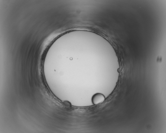 X0000111000294200906191150