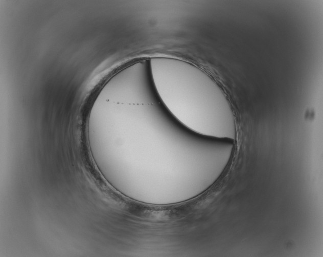 X0000111000295200906191150