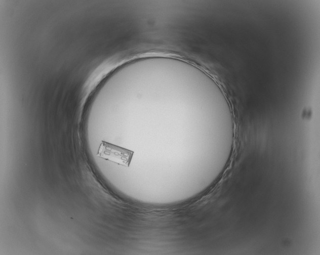 X0000111000296200906191150