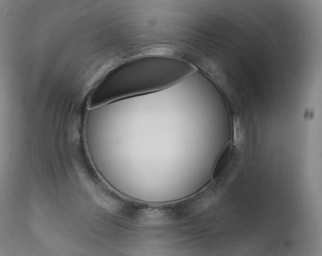 X0000111000300200906191150