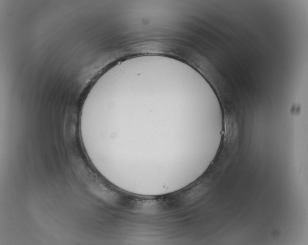 X0000111000301200906191150