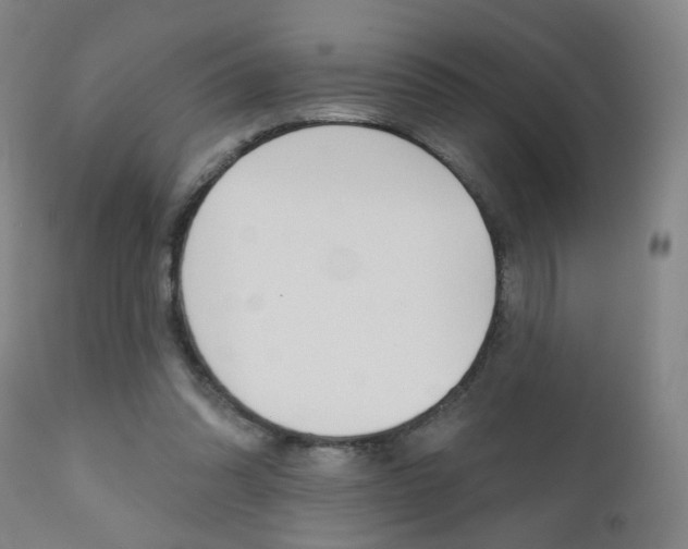 X0000111000302200906191150