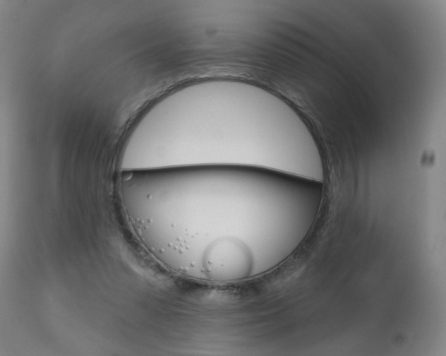 X0000111000303200906191150