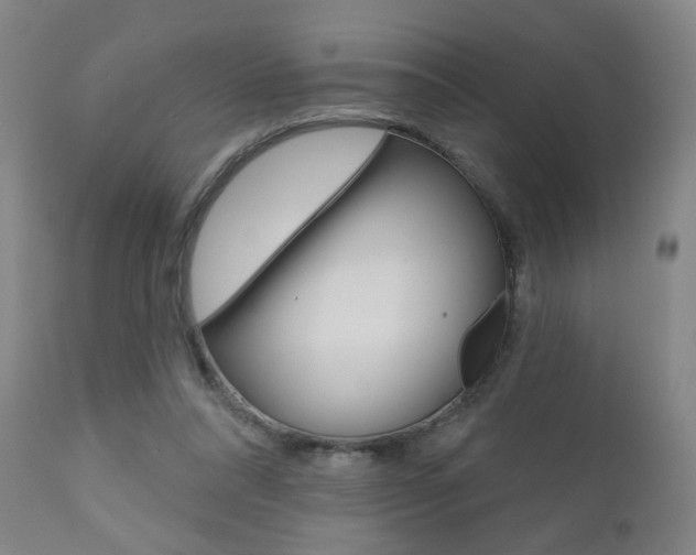 X0000111000304200906191150