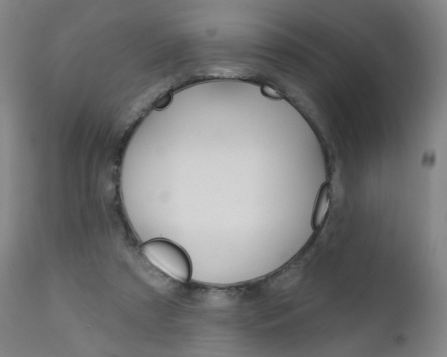 X0000111000305200906191150