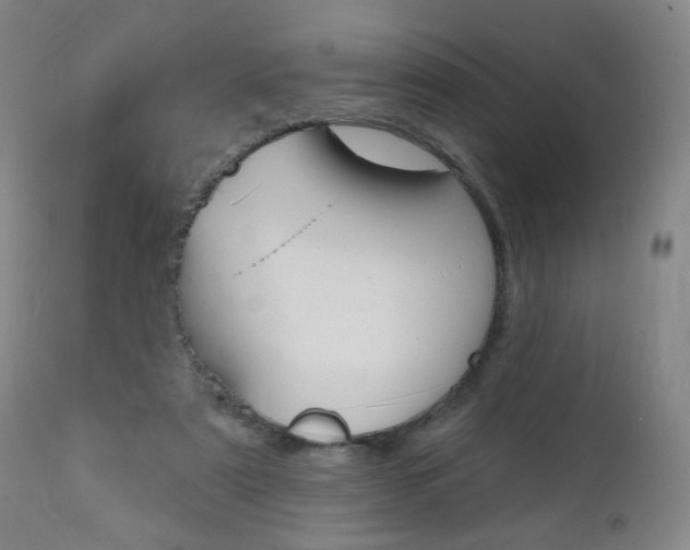X0000111000307200906191150