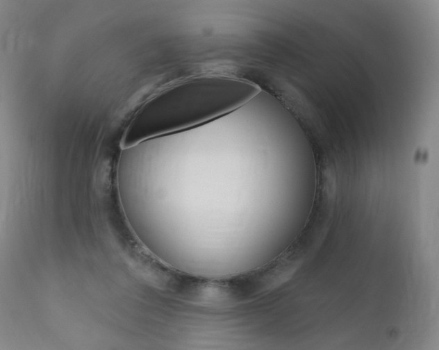X0000111000308200906191150